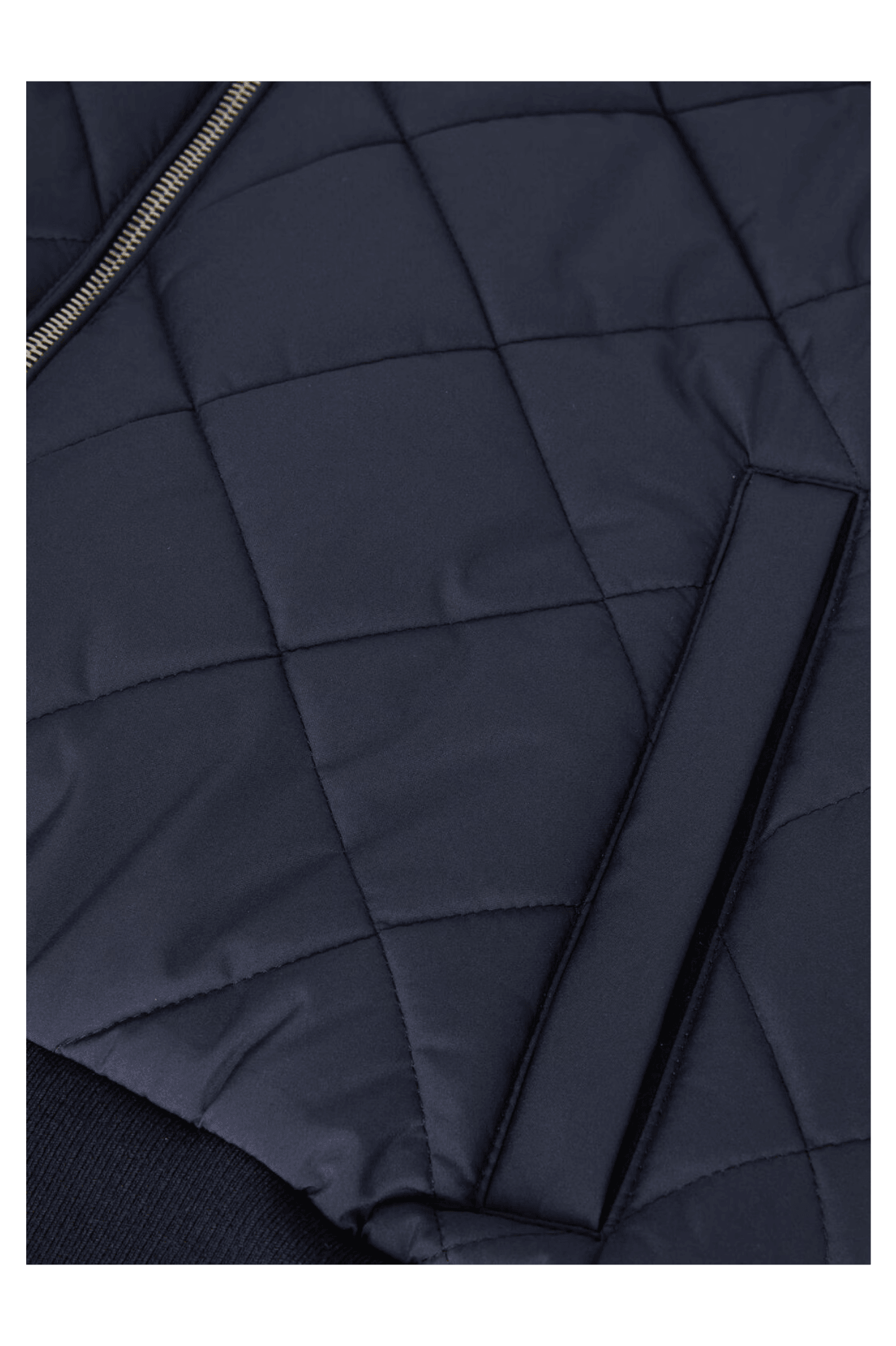 <tc>Loro Piana</tc> 男士 Ampay 背心