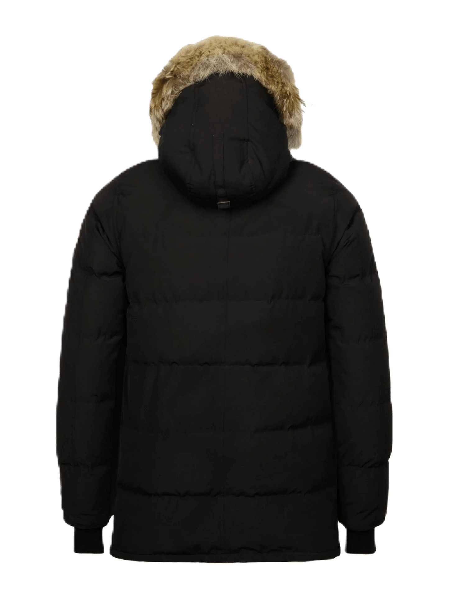 Canada Goose Men's Carson Parka Heritage