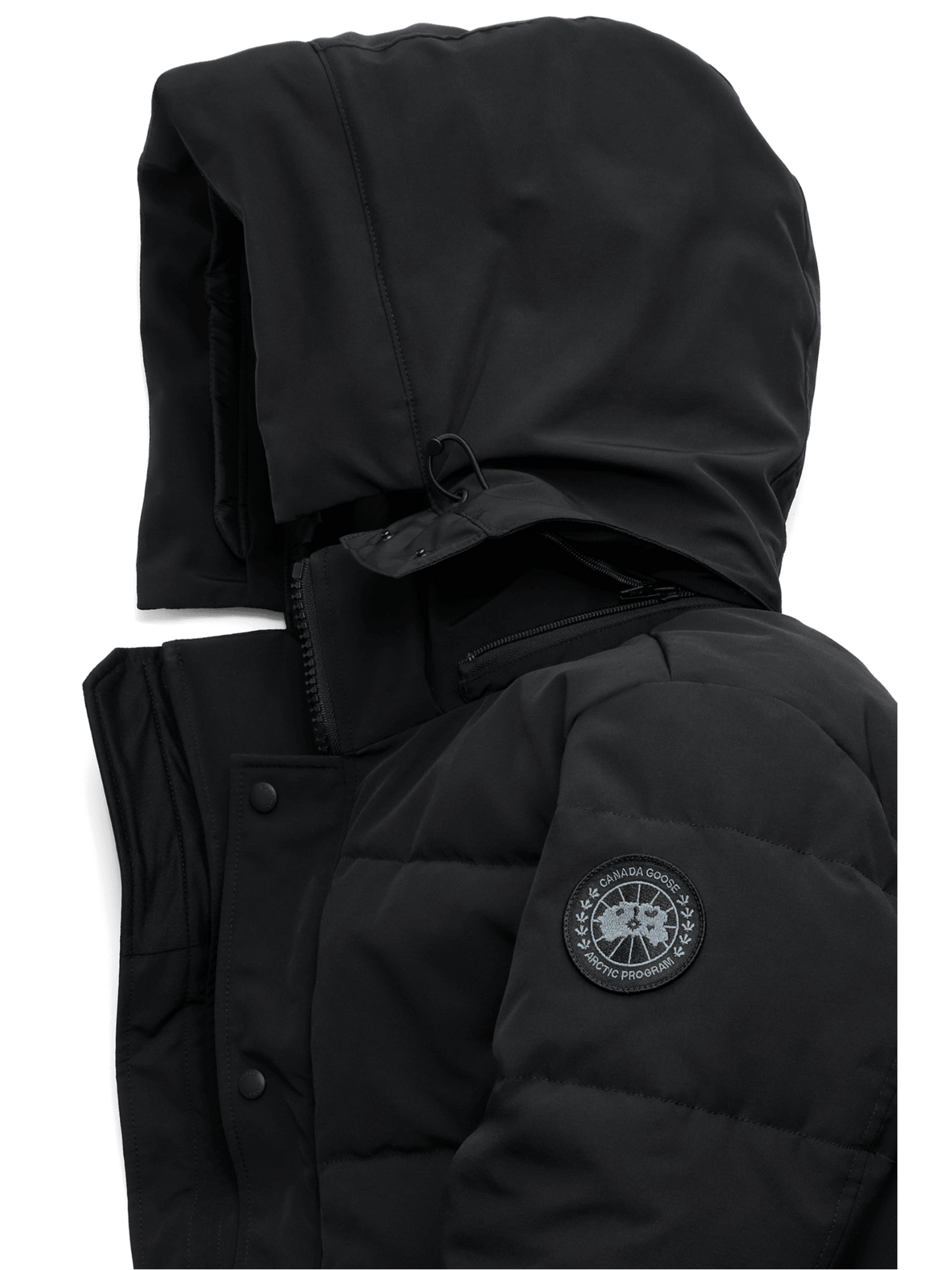 Canada Goose Men's Wyndham Parka Black Label