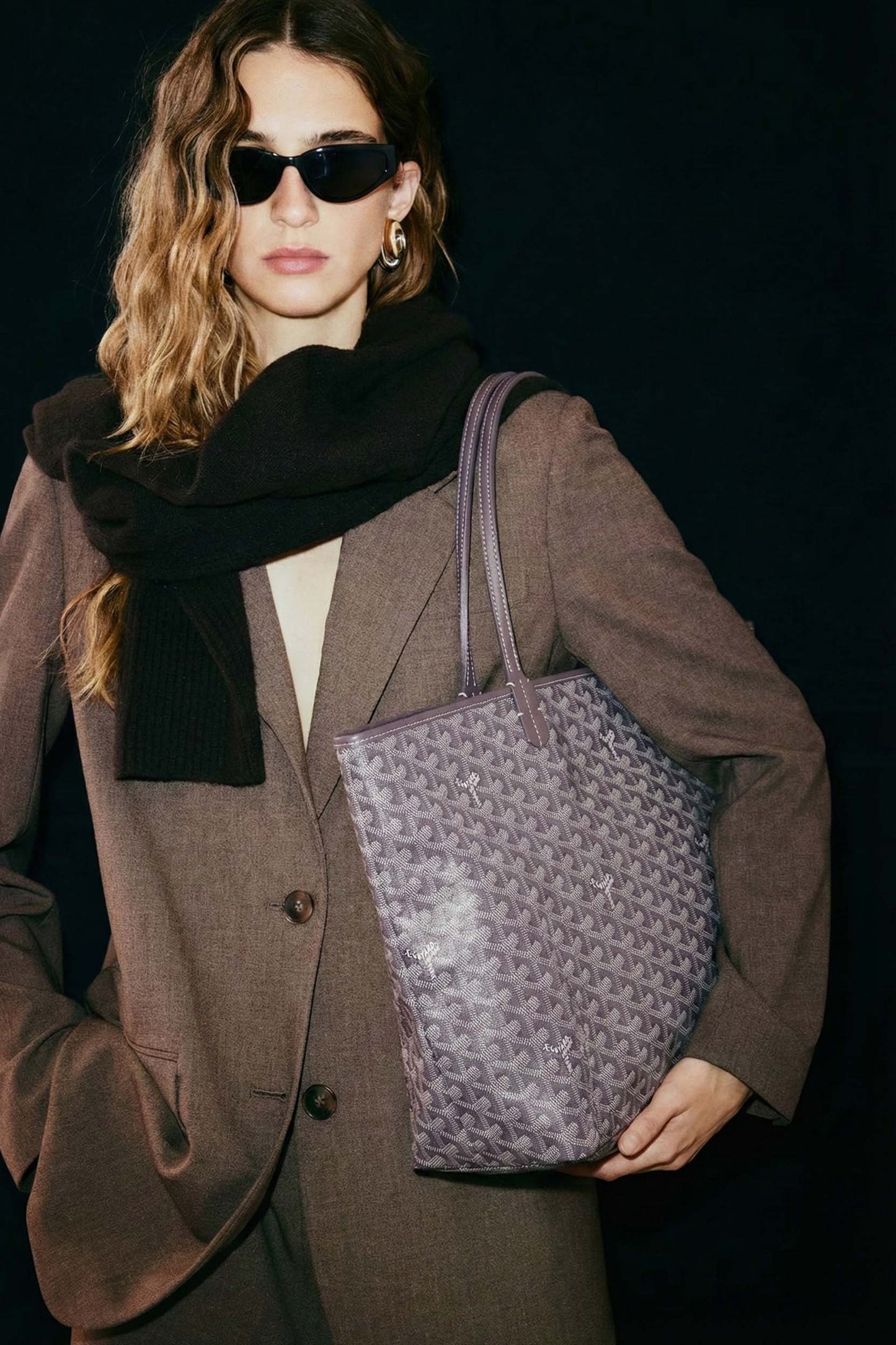 Goyard Saint Louis GM Bag