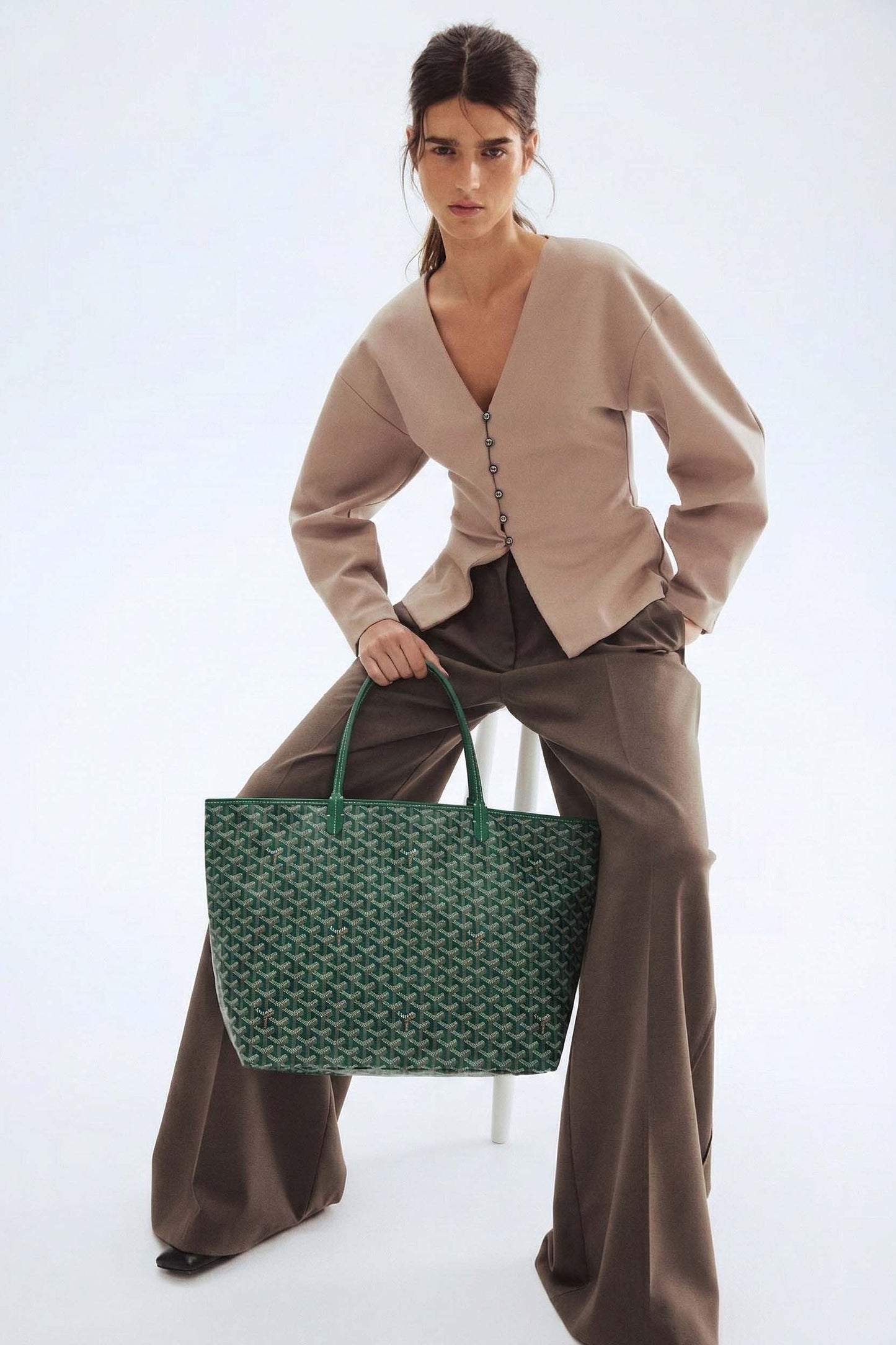 Goyard Saint Louis GM Bag