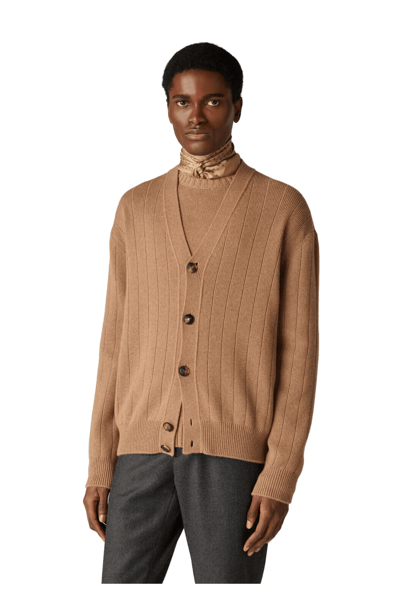 <tc>Loro Piana</tc> 男款 Cervatto 開襟衫