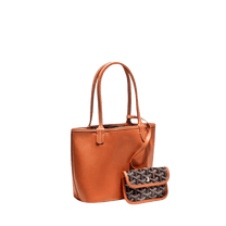 <tc>Goyard</tc> Anjou 迷你包