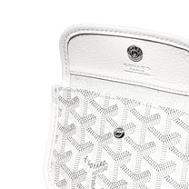 <tc>Goyard</tc> Anjou 迷你包