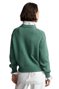 <tc>Ralph Lauren</tc> 女士嵌花針織鵜鶘立領套頭衫